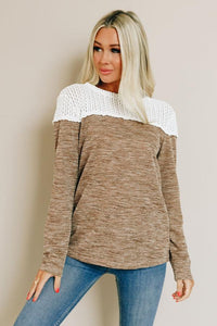 Brown Colorblock Crochet Hollow Out Long Sleeve Top