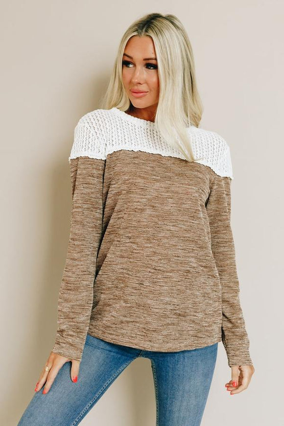 Brown Colorblock Crochet Hollow Out Long Sleeve Top