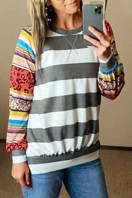 Colorful Leopard Striped Splicing Raglan Sleeve Sweatshirt *preorder*