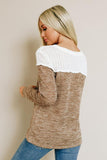 Brown Colorblock Crochet Hollow Out Long Sleeve Top