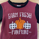 Farm Fresh Pumpkins Buffalo Plaid Raglan Tee (Fall 2021071003)