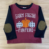 Farm Fresh Pumpkins Buffalo Plaid Raglan Tee (Fall 2021071003)