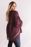 Wine Red V Neck Lantern Sleeve Swiss Dot Plus Size Blouse